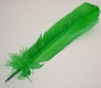 Green Turkey Feather